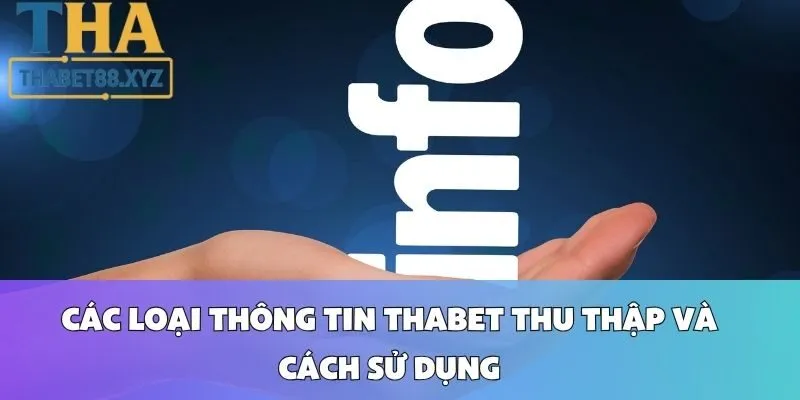 Các Loại Thông Tin Thabet Thu Thập Và Cách Sử Dụng