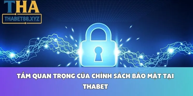 Tầm Quan Trọng Của Chính Sách Bảo Mật Tại Thabet