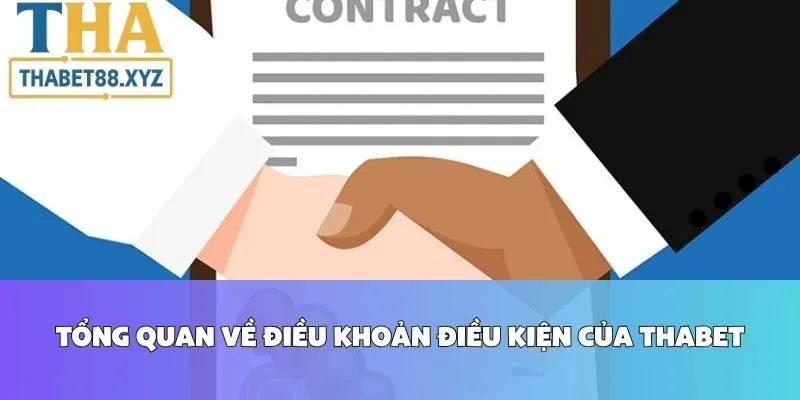 Tổng Quan Về Điều Khoản Điều Kiện Của Thabet