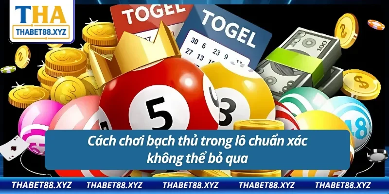 Cách chơi bạch thủ lô chuẩn xác không thể bỏ qua