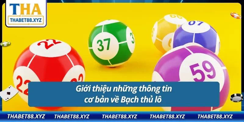 Giới thiệu những thông tin cơ bản về Bạch thủ lô 