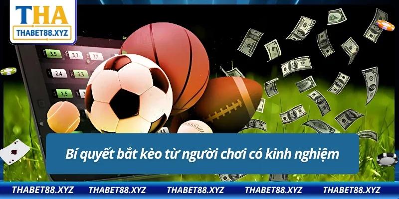 THABET cung cấp bảng tỷ lệ kèo minh bạch, cập nhật liên tục