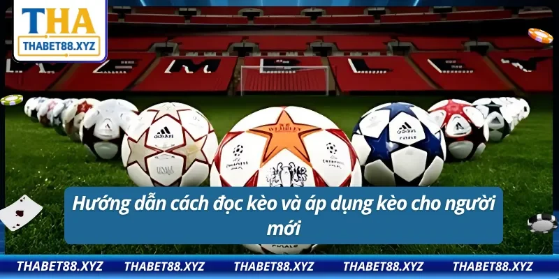 Phân tích tỷ lệ kèo Handicap kỹ lưỡng giúp người chơi tăng cơ hội thắng lớn