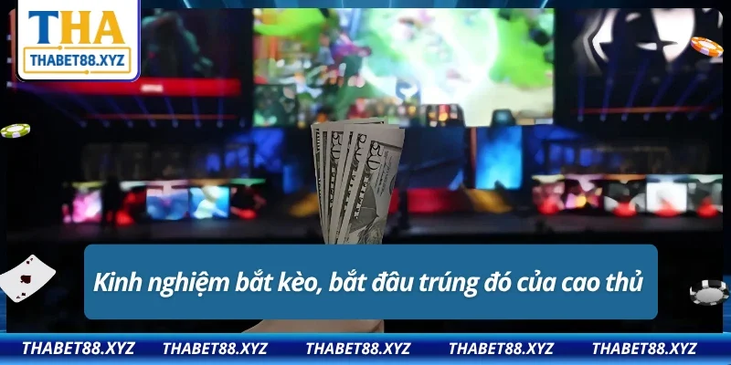 Những bí kíp “ lão làng” THABET đọc ngay để không bắt kèo “mù”