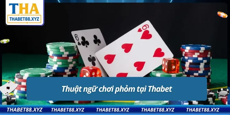 Thuật ngữ trong game bài phỏm Thabet