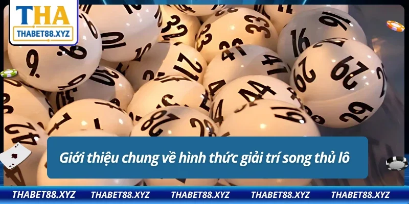 Giới thiệu về hình thức giải trí song thủ lô
